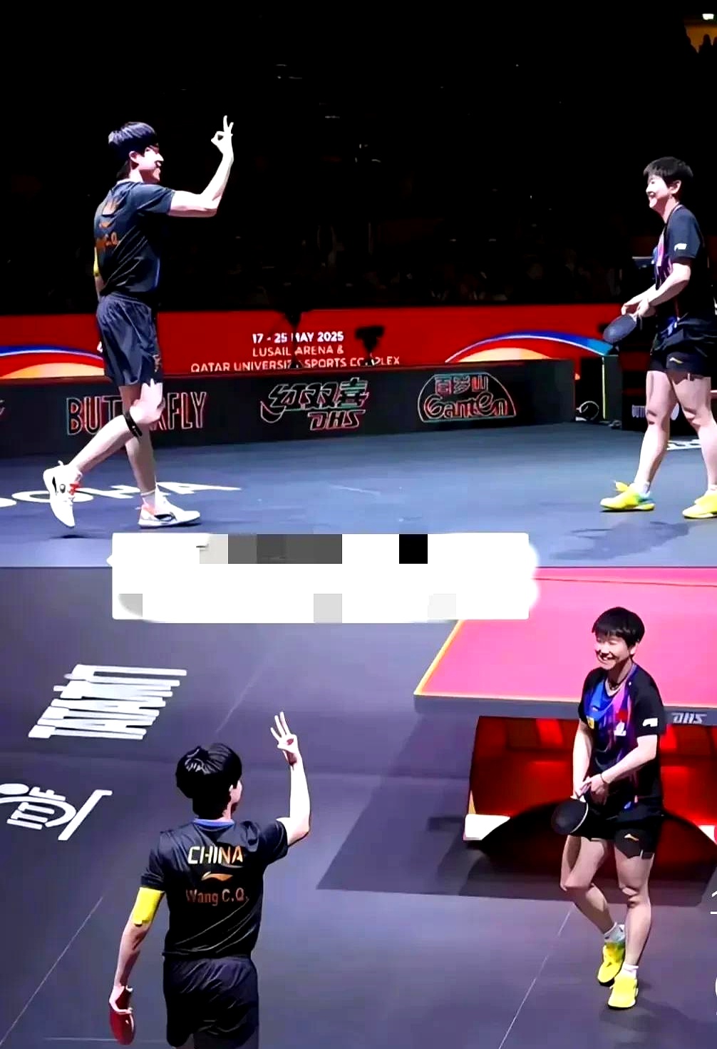 德国队横扫波兰队，许昕高光表现