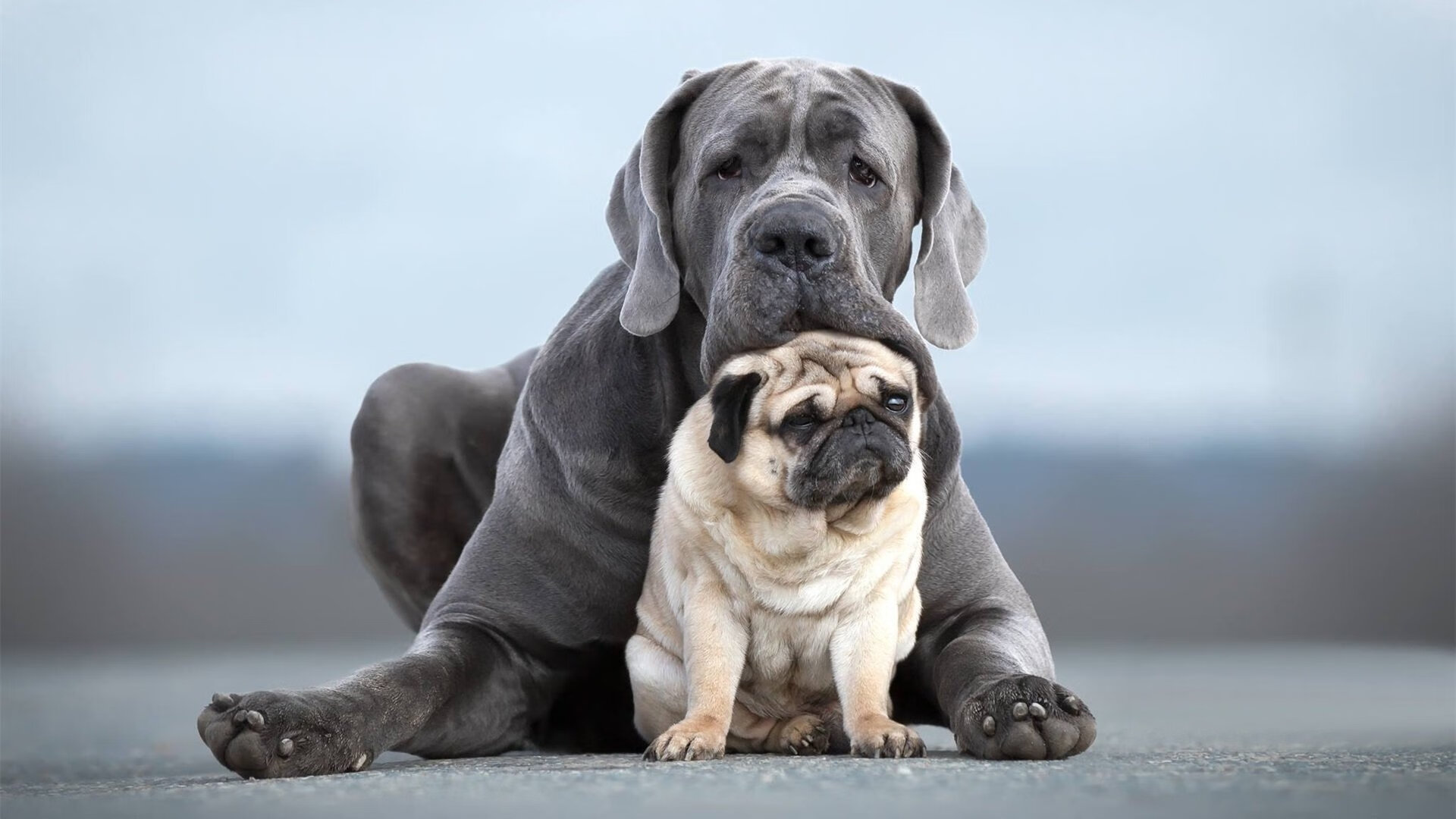 开云体育APP下载-赖斯的铁壁与勒沃库森的利刃，当防守艺术击穿银河战舰