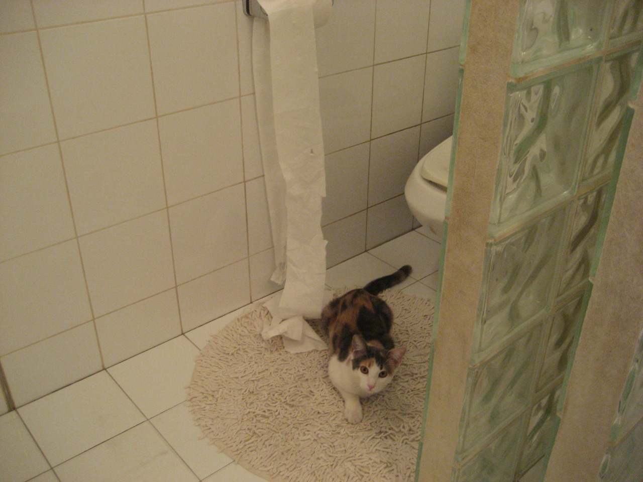 开云体育平台APP-暗夜灯塔，贝恩与尼克斯如何在骑士的王国里重构现代篮球的胜负密码