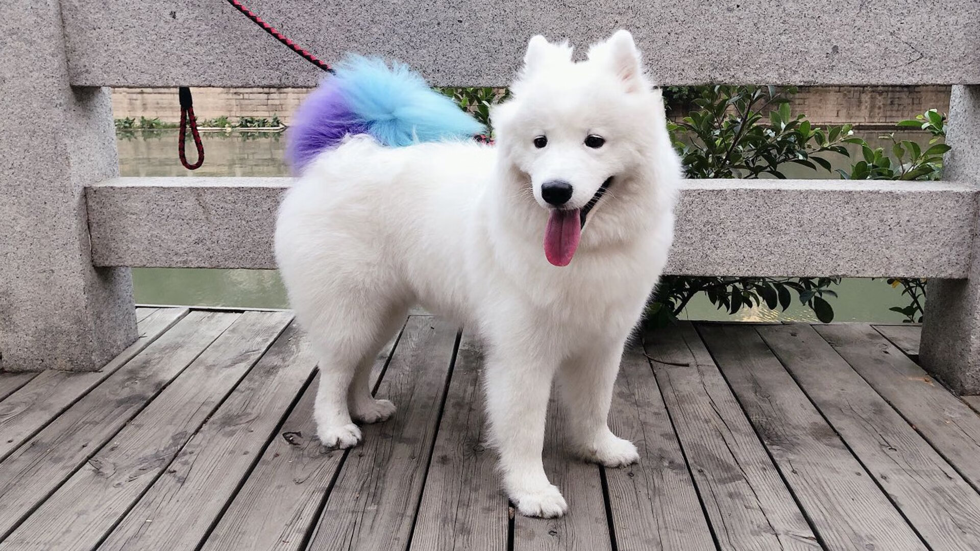 当火箭燃料点燃辽宁防线,霍勒迪的满分表演与跨联赛较量的意义