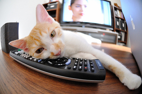 开云体育2026-现代方程破解古典乐章，2026世界杯焦点战，巴西如何用防守方程式锁死克罗地亚