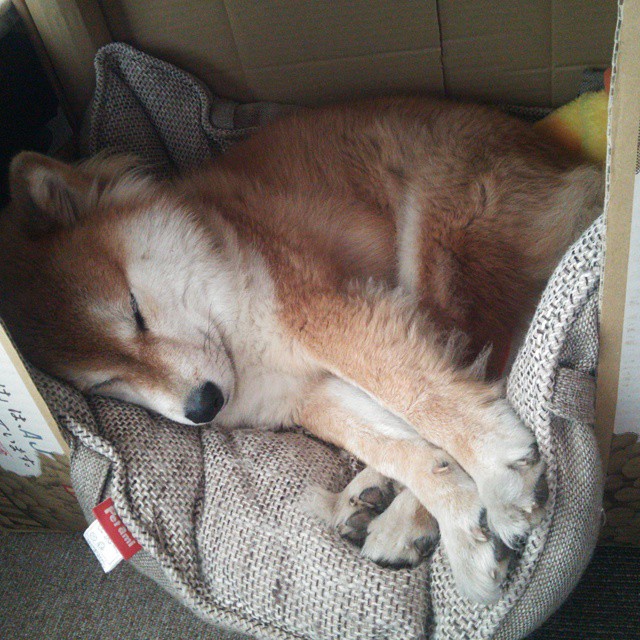 开云体育官网-独舞封神！拉文终场绝杀撕裂夜空，赛后评分拉满诠释何为超级巨星