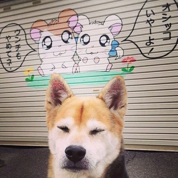 英格拉姆的独舞，在森林狼对阵独行侠的比赛中主宰走向