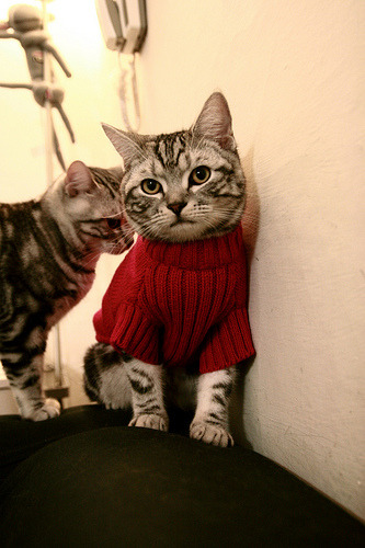 开云体育平台APP-沙漠对决曼联，斗士加克波在非典型舞台上的光芒 心理素质铸就独特巨星之路