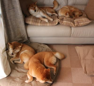 跨界战争!恩佐掌控时空法则,摩纳哥用血脉压制一波流带走哥斯达黎加