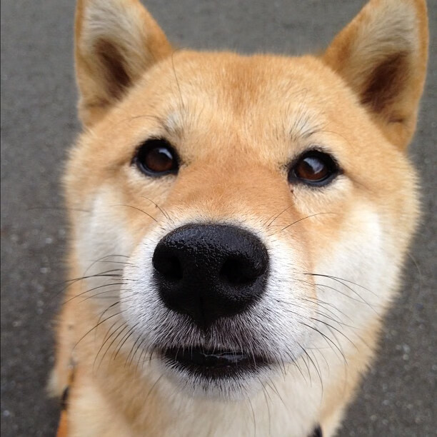 开云sport-凡人的殿堂与天神的战场，文班亚马东决夜的神性降临