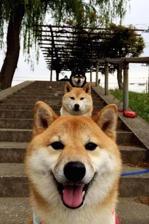 开云sport-弹簧刀与铁索，切特的锐利与尼克斯的绞杀—现代篮球的矛与盾