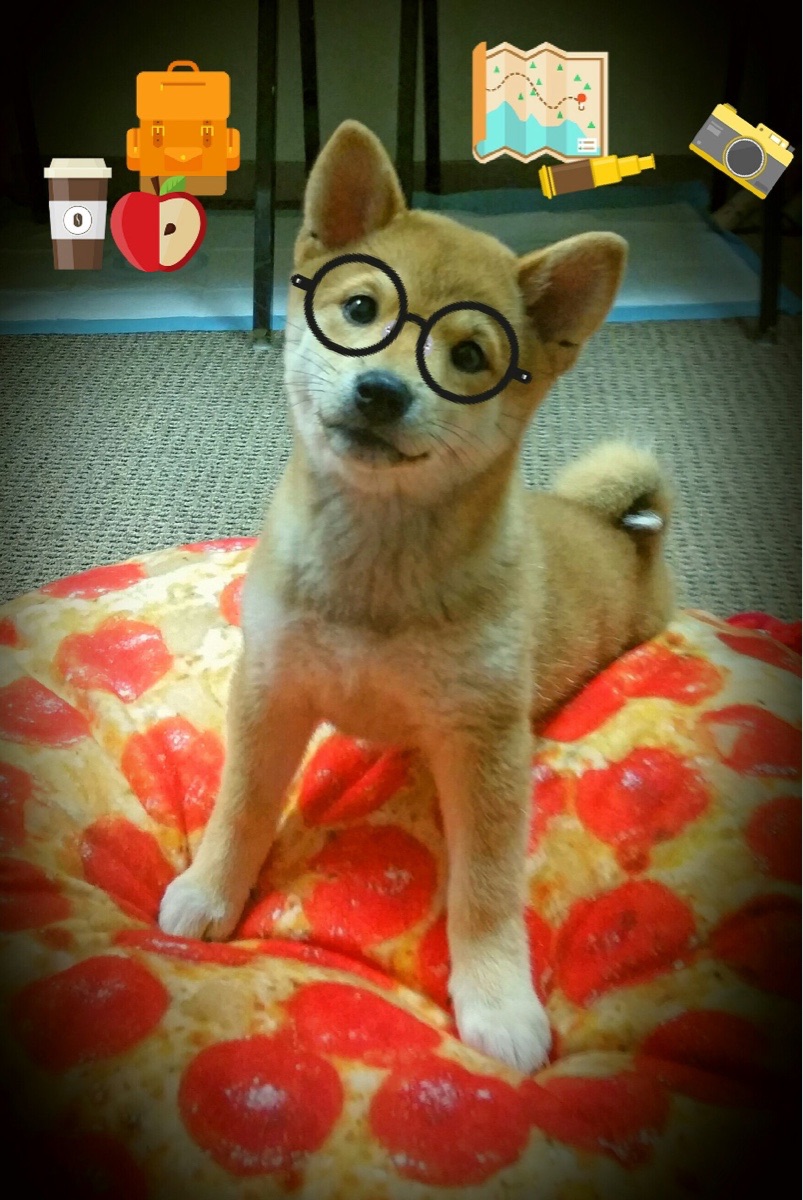 文班亚马关键节点连斩七分，火箭节奏掌控击沉快船