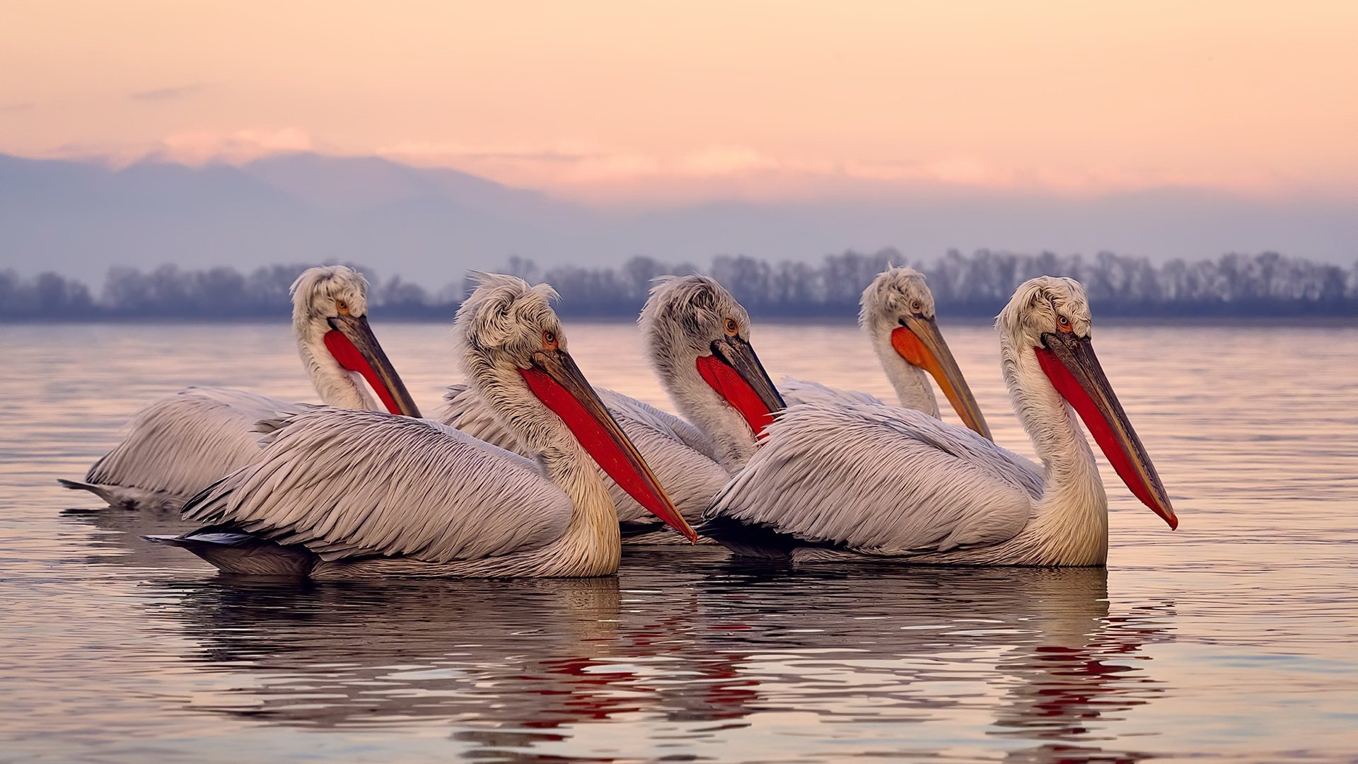 从金玟哉的铜墙铁壁到牙买加的闪电风暴，防守艺术与反击美学的足球对话