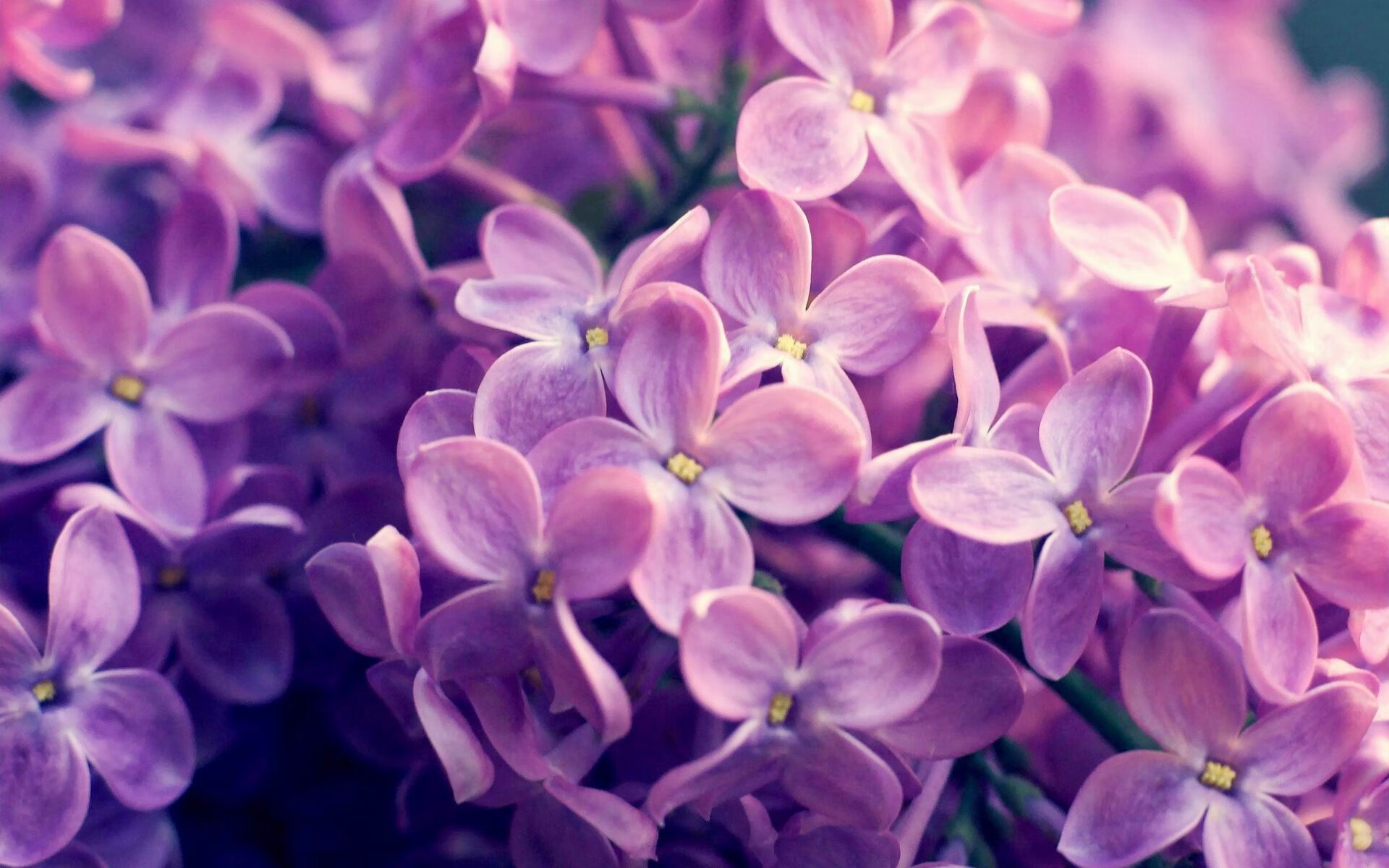 跨洋三分雨，克莱单节7记三分，开拓者神奇单节击溃辽宁防线