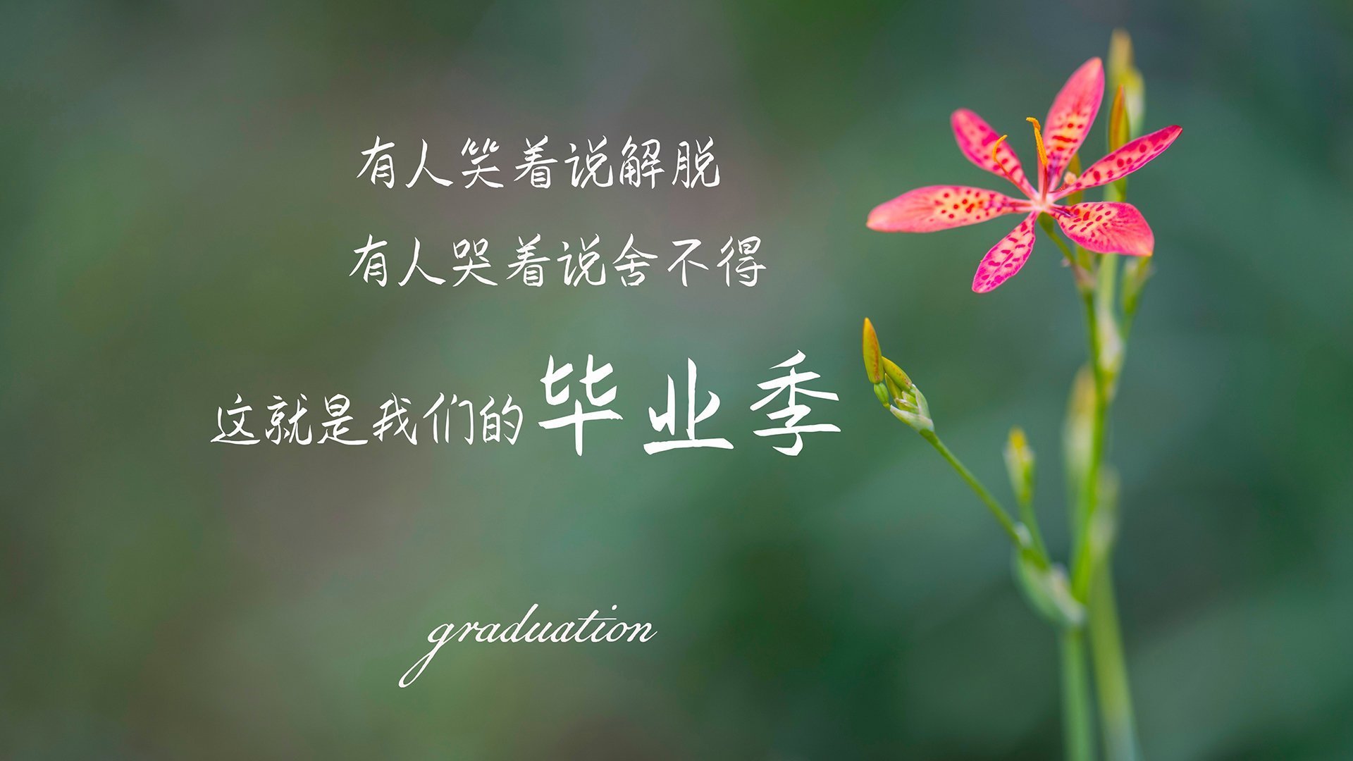 城市之光，爱德华兹为上海队献上教科书级教学
