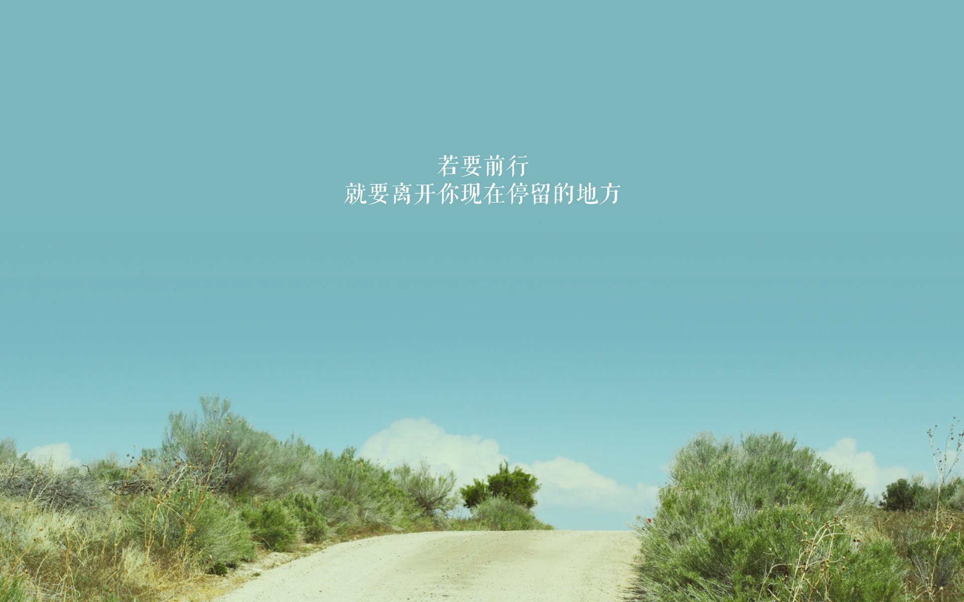 开云体育-底格里斯河的闪电，当伊拉克的绿色风暴以唯一的方式撕裂世界杯秩序
