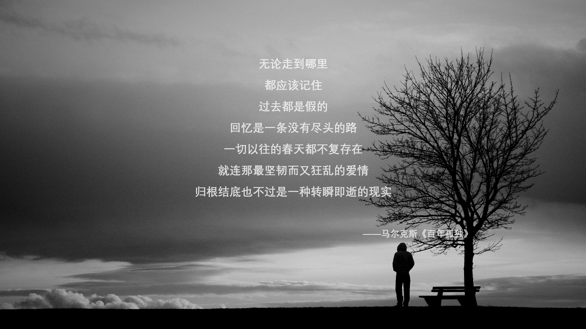 东方力量,当塔雷米成为桑巴舞曲中的变奏音符—2026世界杯H组巴西vs日本战记