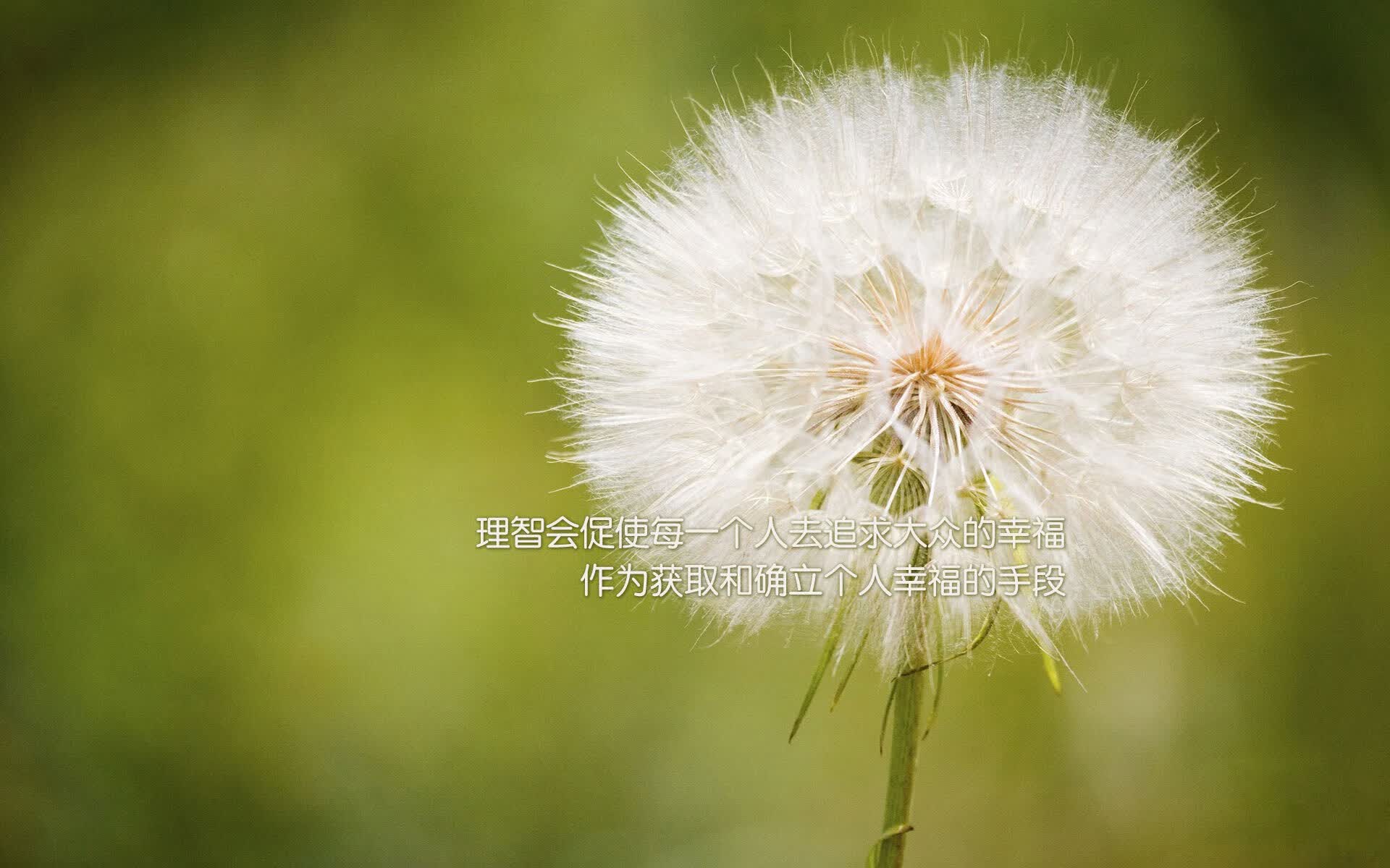 开云体育app-黑色城墙与法兰西闪电，2026世界杯A组，一场由唯一书写的史诗颠覆