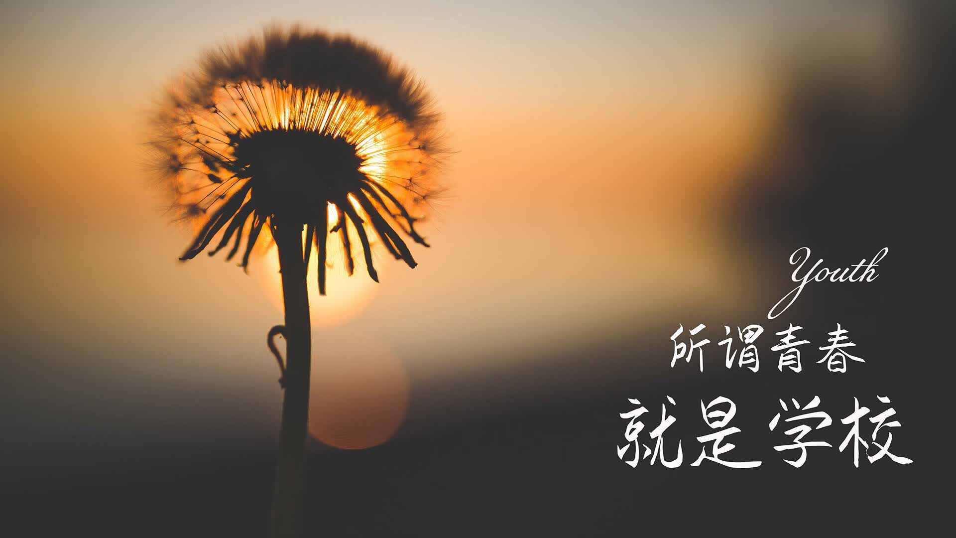 开云体育app-中亚风暴席卷沙漠，当白狼撕碎斗牛士，拉什福德在F组废墟上独舞