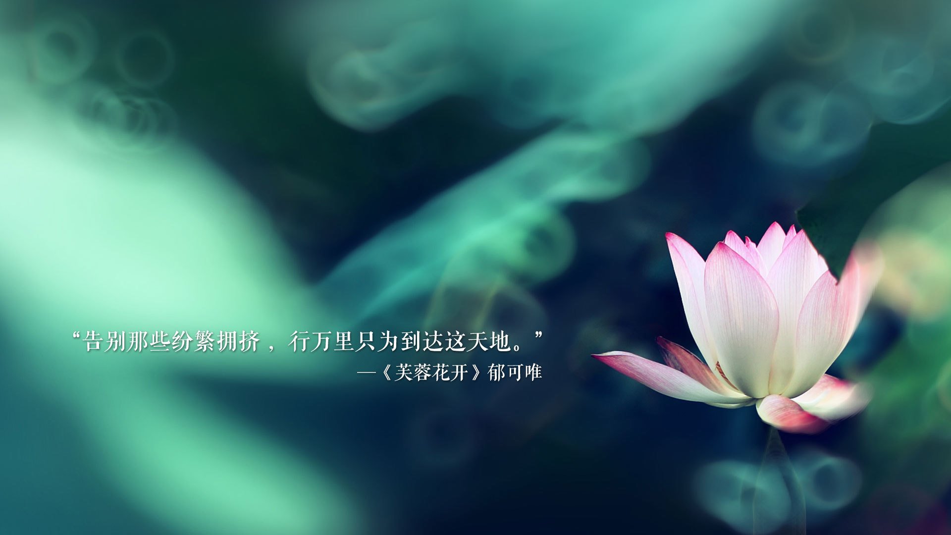 独舞的节奏，当佩德里的唯一韵律，瓦解了厄瓜多尔的铜墙铁壁