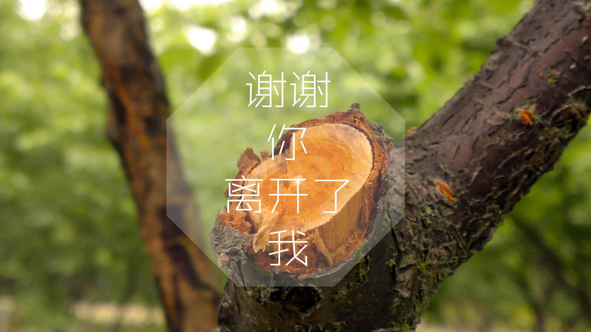 开云体育官网-唯一解药，世界杯生死战，波兰钢铁洪流碾碎北欧童话，德容铸就中场唯一神迹