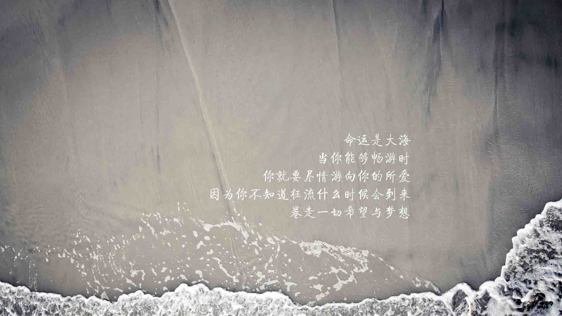 开云体育在线-逆转基因的夜幕变奏，坎塞洛点亮G组，厄瓜多尔演绎疯狂剧本