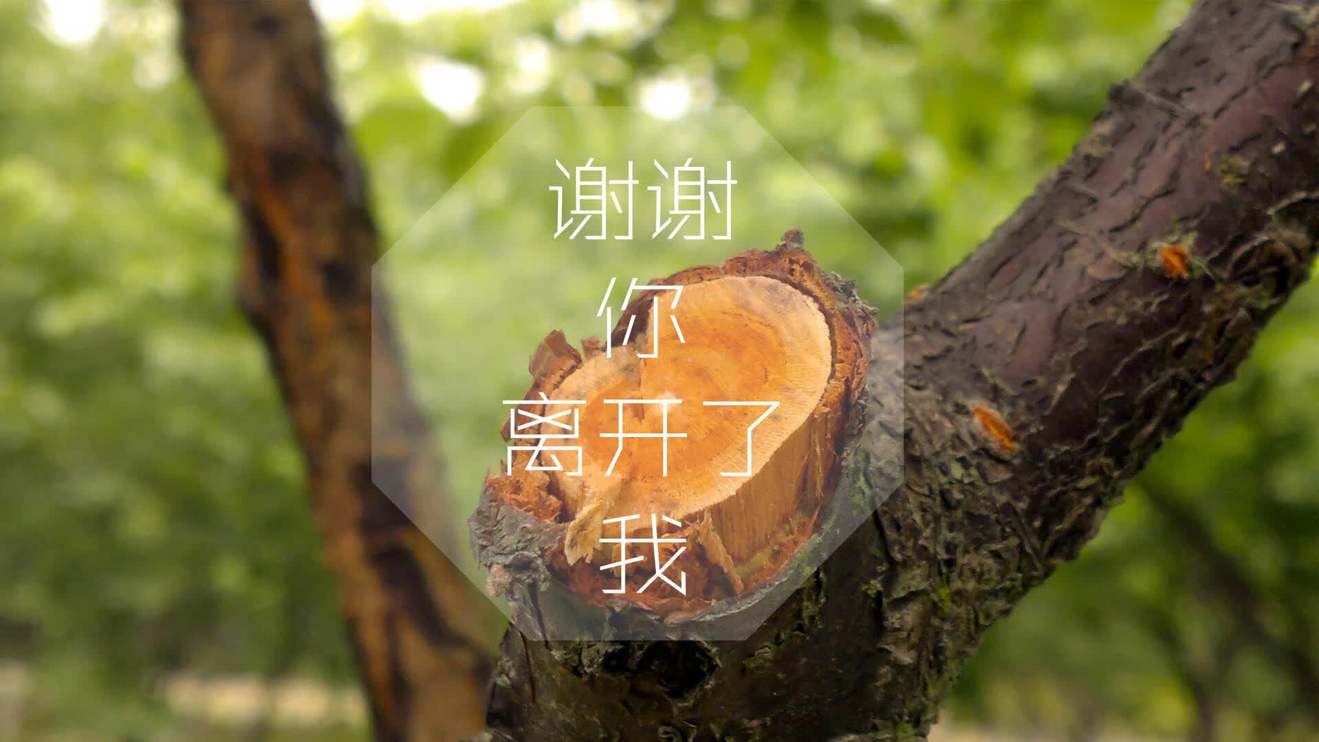 蓝武士的午夜狂想曲，穆西亚拉独舞，日本绝杀乌拉圭，奏响2026世界杯最强心跳